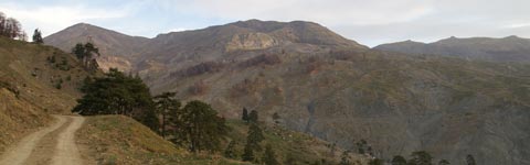 grammos, γράμμος, γραμμος, aetomilitsa, αετομηλίτσα, αετομηλιτσα, foto vafiadis anastasios, www.hellasfoto.gr