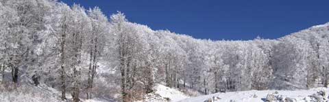 grammos, γράμμος, γραμμος, aetomilitsa, αετομηλίτσα, αετομηλιτσα, foto vafiadis anastasios, www.hellasfoto.gr